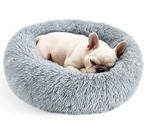 Hoewina Dog & Cat Bed for Indoor Cats, 20in Calming Donut Bed for Puppy and Kitten, Washable Round Fluffy Pet Bed for Small Medium Dogs and Cats (Light Grey)