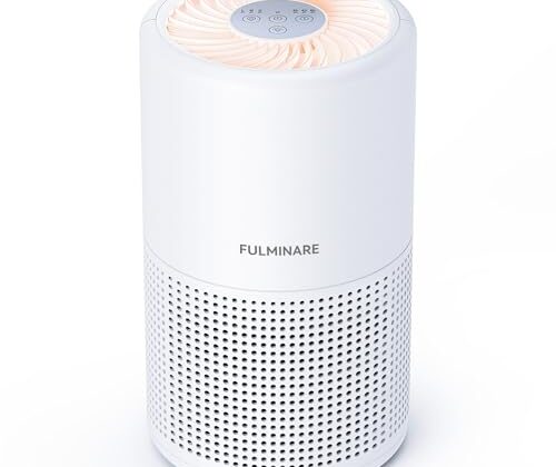 Air Purifiers for Bedroom, FULMINARE H13 True HEPA Air Filter, Quiet Air Cleaner With Night Light,Portable Small Air Purifier for Home, Office, Living Room