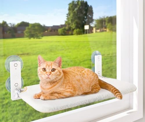 AMOSIJOY Cordless Cat Window Perch, Cat Hammock for Wall with 4 Strong Suction Cups, Solid Metal Frame and Reversible Cover, Foldable Cat Beds for Indoor Cats (Medium-White)
