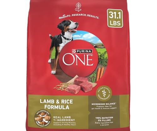 Purina ONE Dry Dog Food Lamb and Rice Formula - 31.1 lb. Bag